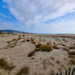 Holora-Hideaways-Beach-1