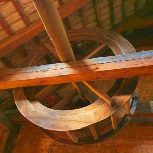 Holora-Hideaways-Wellrad